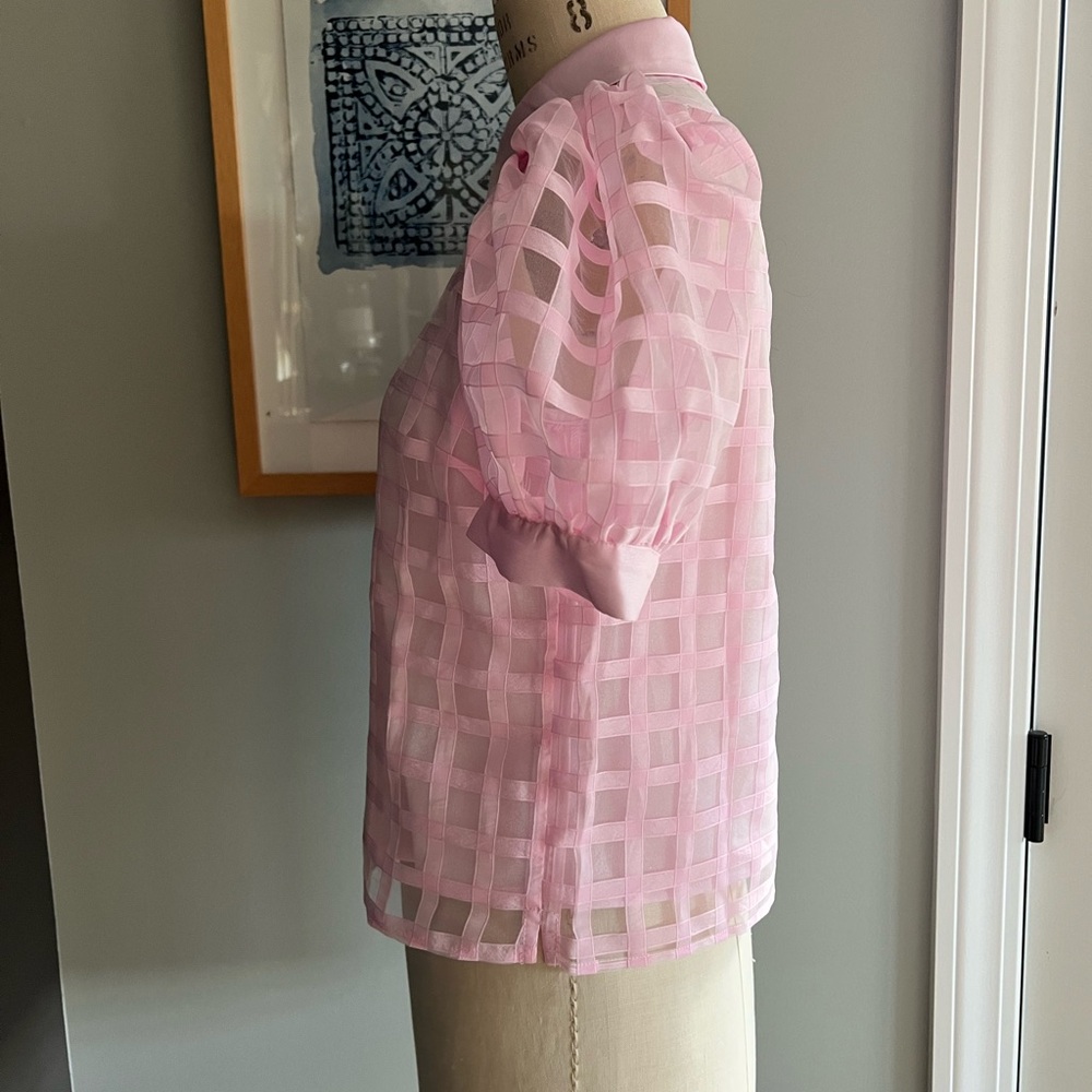 English Factory Pink Sheer Grid Button-Down Blouse - Picture 11 of 16